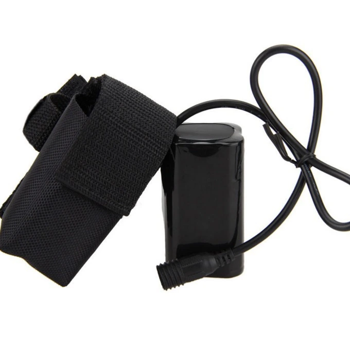 100 W battery pack